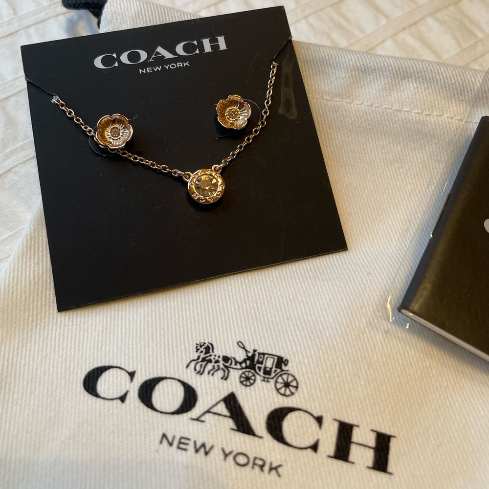 Coach Necklace and Earrings